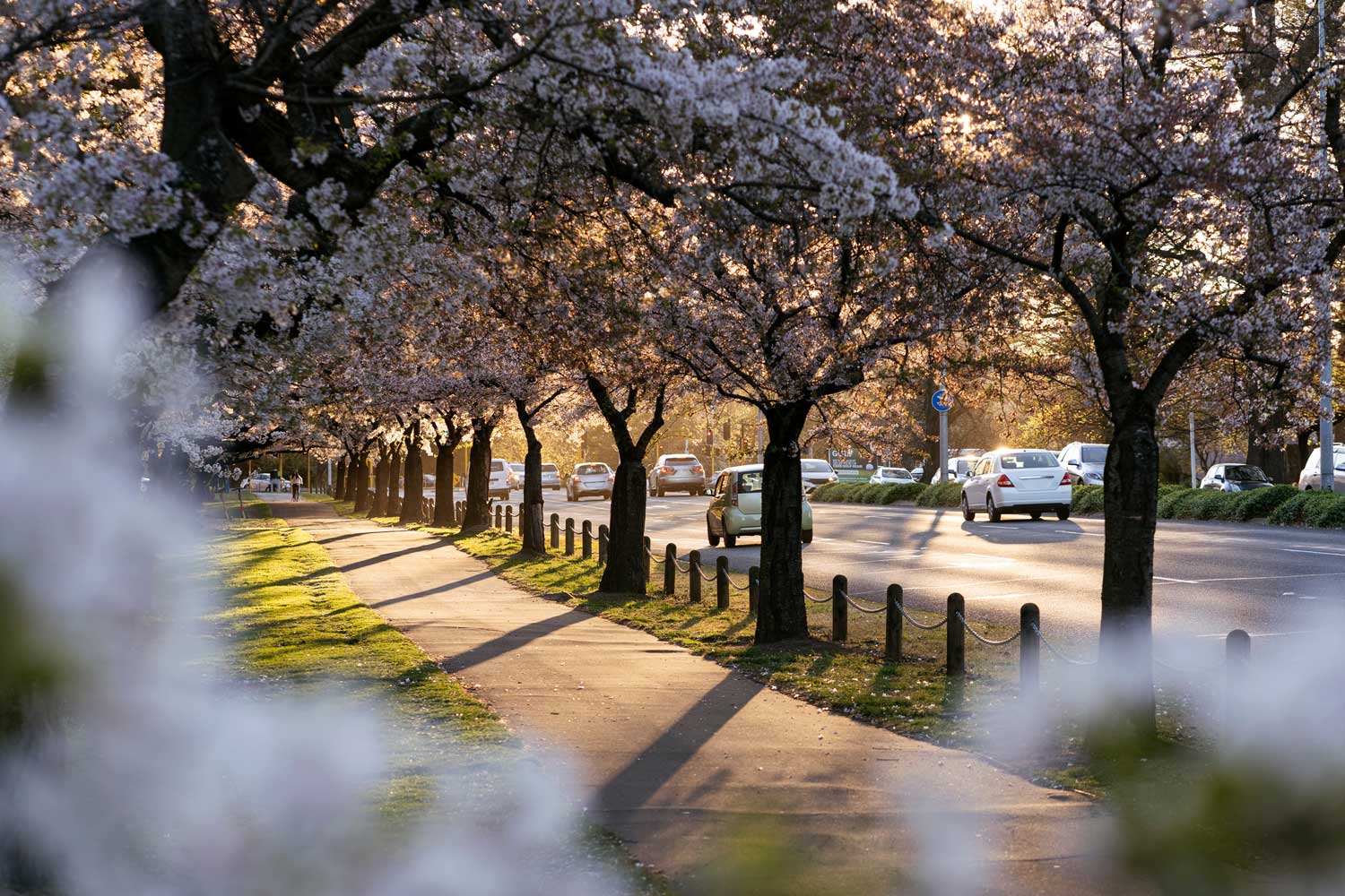 Canterbury Commercial Landscaping