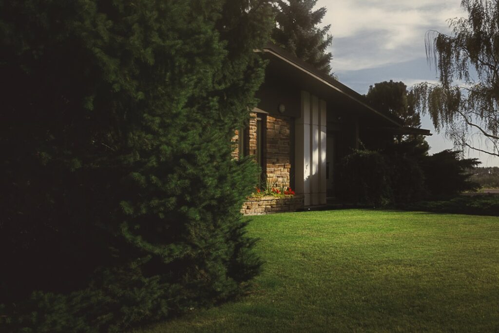 Residential landscaping with a manicured lawn and mature evergreen trees framing a single-storey home’s shaded entrance.