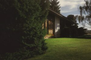 Residential landscaping with a manicured lawn and mature evergreen trees framing a single-storey home’s shaded entrance.