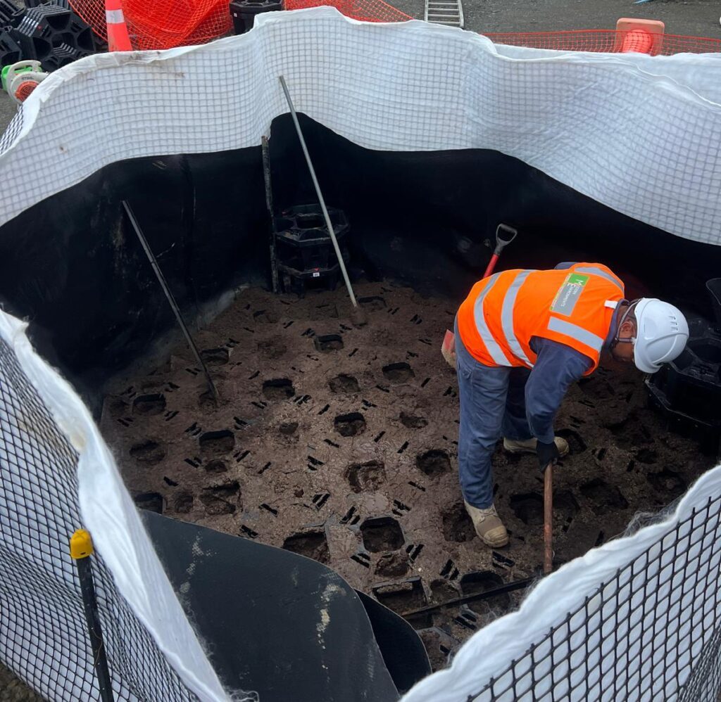 Planting mix on top of the layers of strata cells