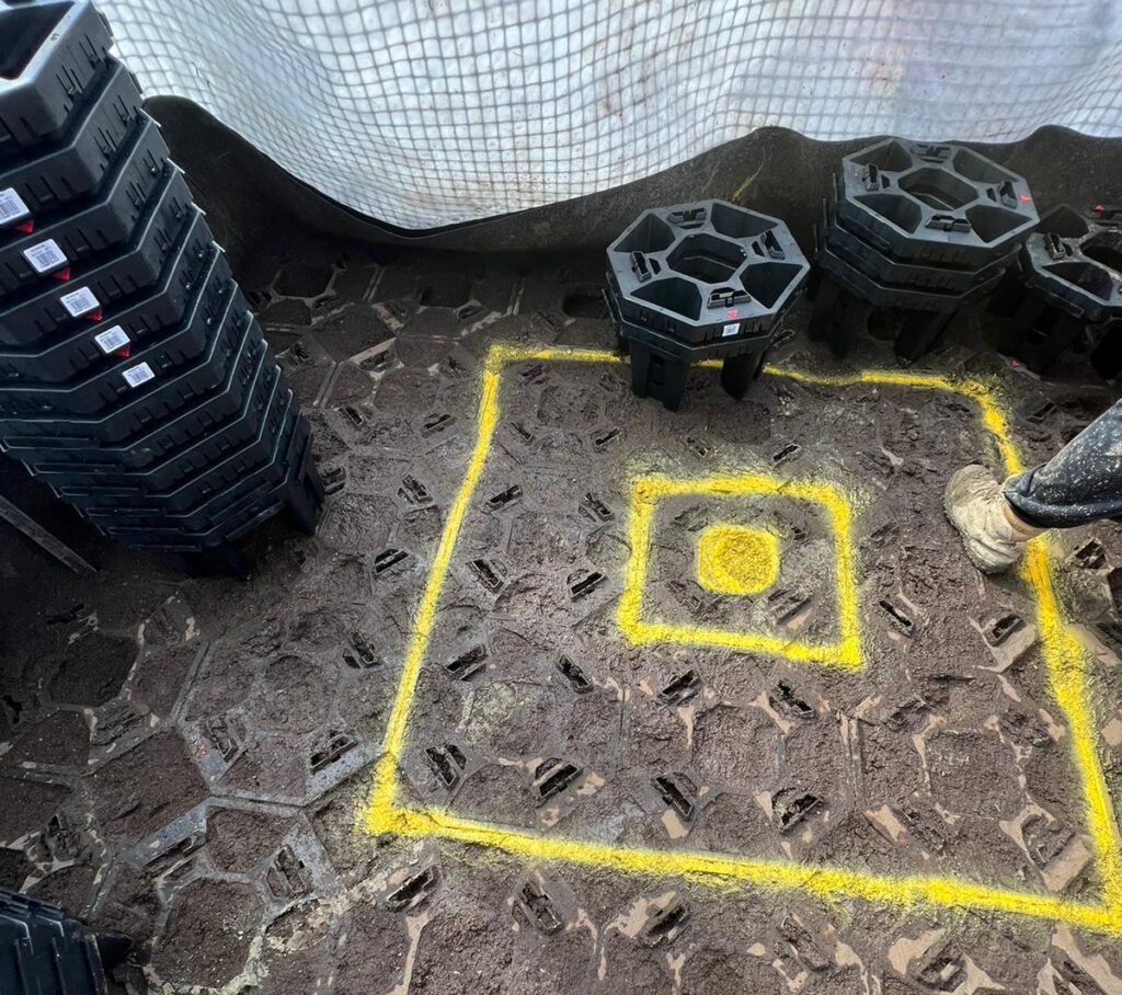 precise tree location marked