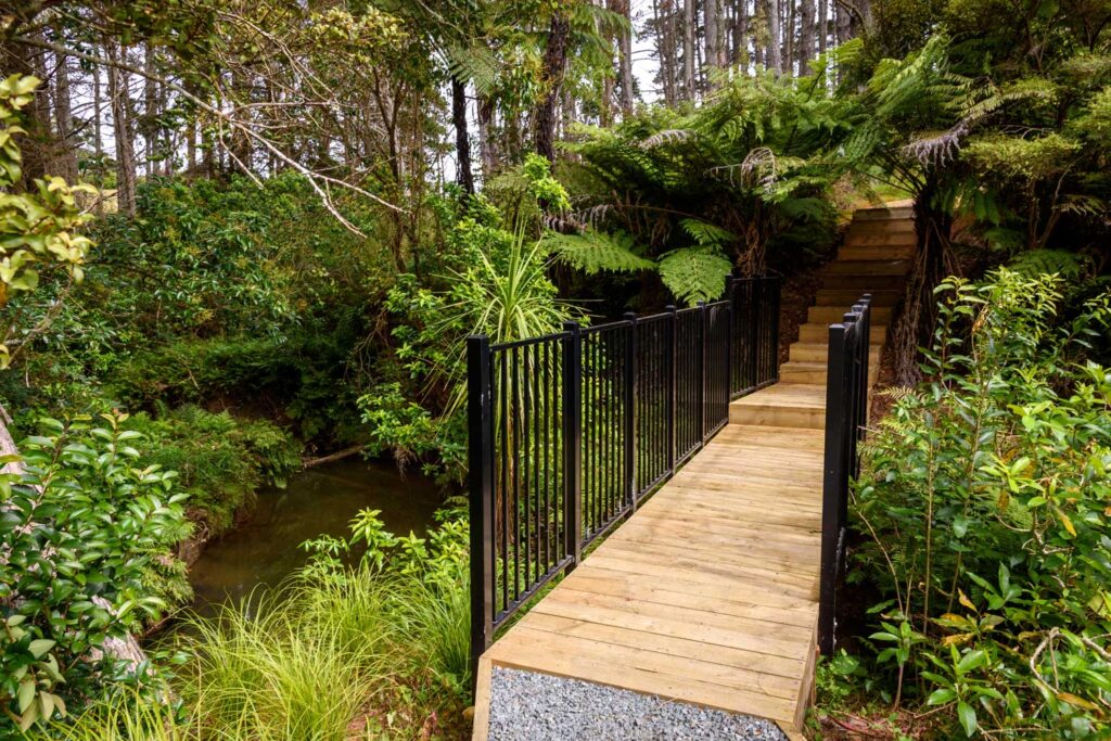 Ara Hills Bushwalk Orewa Auckland