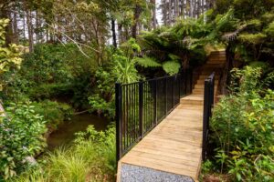 Ara Hills Bushwalk Orewa Auckland